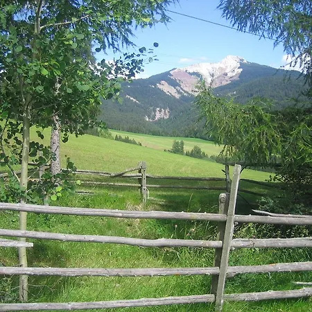 Schornhof Aldino
